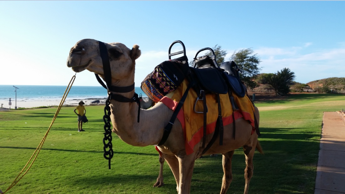 TravaillerdansunresortAustralie5